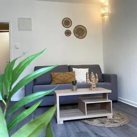 La Topaze Jaune - Apartment Romans-sur-Isere